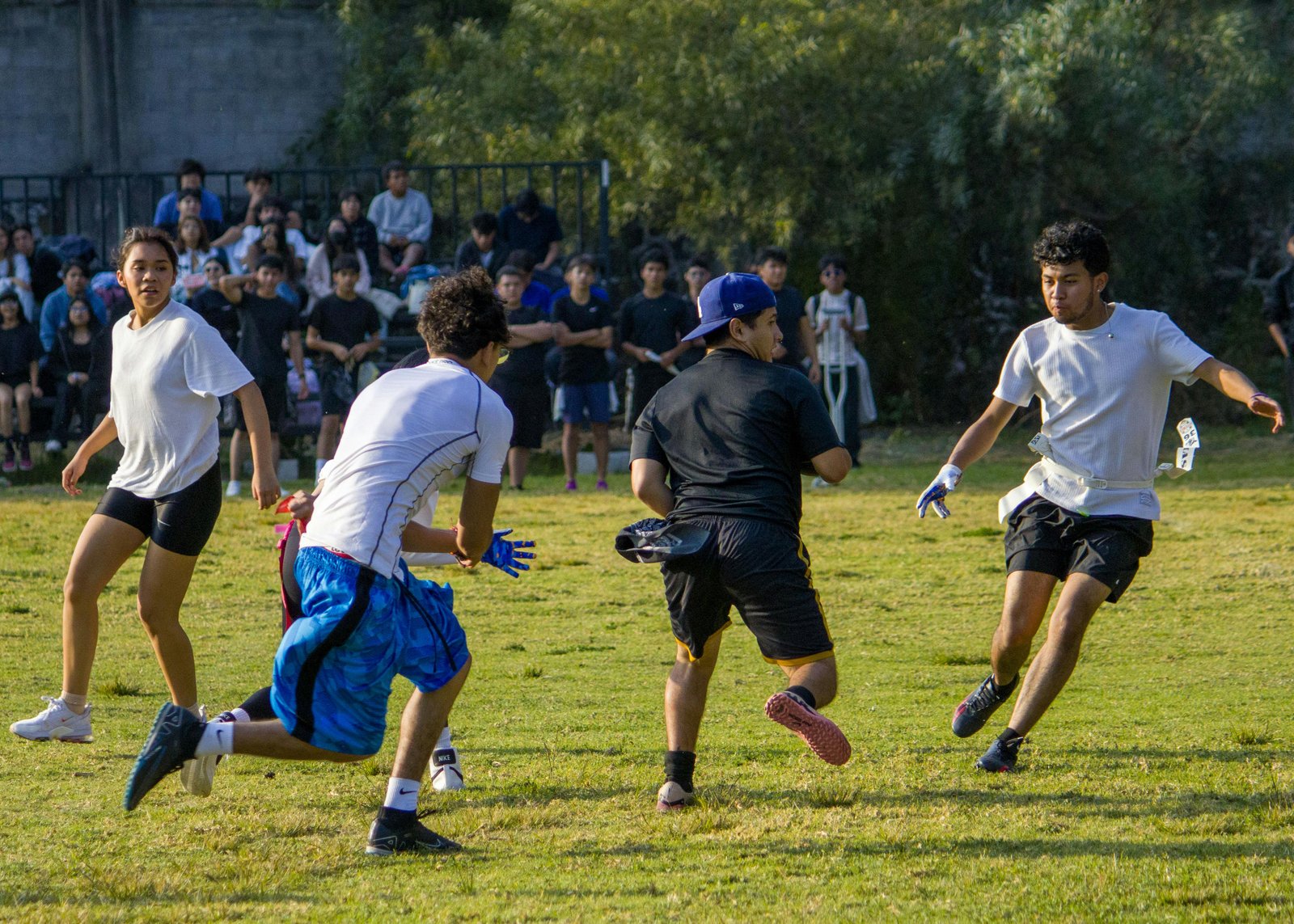 Sports & Playground